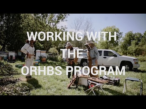 Working With the ORHBS Program