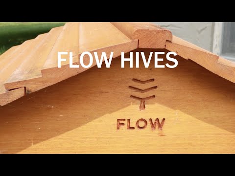 Flow Hive