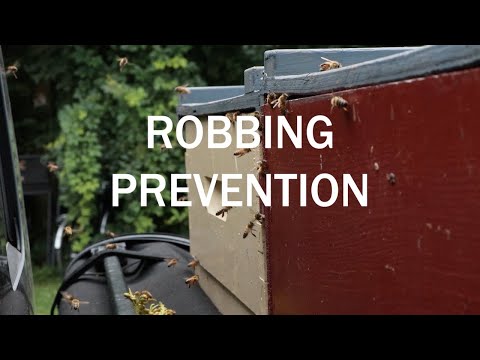 Robbing Prevention