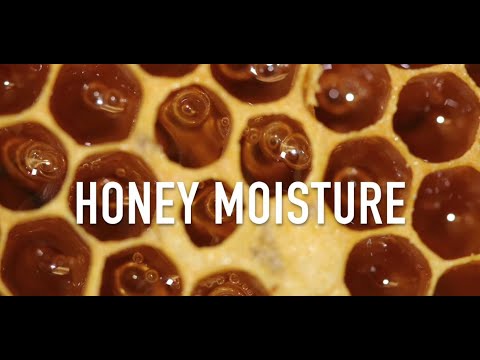 Honey Moisture