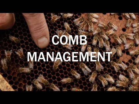 Comb Management