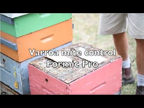 Varroa Mite Control - Formic Pro